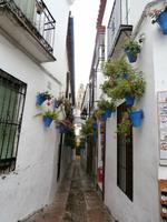 Cordoba-Blumengasse &ndash; &copy; Ingrid Langer (Eberhardt TRAVEL)