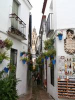 Cordoba-Blumengasse &ndash; &copy; Ingrid Langer (Eberhardt TRAVEL)