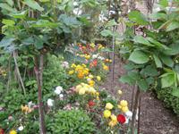 Alhambra Granada Generalife &ndash; &copy; Ingrid Langer (Eberhardt TRAVEL)