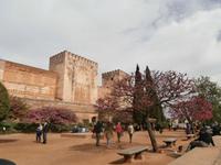 Alhambra Granada  &ndash; &copy; Ingrid Langer (Eberhardt TRAVEL)