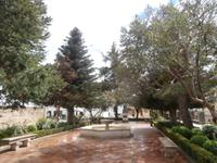 Ronda Igeltannen &ndash; &copy; Ingrid Langer (Eberhardt TRAVEL)