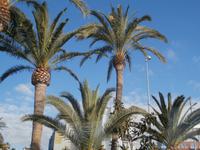 Valencia &ndash; &copy; Ingrid Langer (Eberhardt TRAVEL)