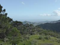 046-Sierrena_de_Ronda &ndash; &copy; Dirk Schlosser (Eberhardt TRAVEL)