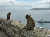 057-Gibraltar &ndash; &copy; Dirk Schlosser (Eberhardt TRAVEL)