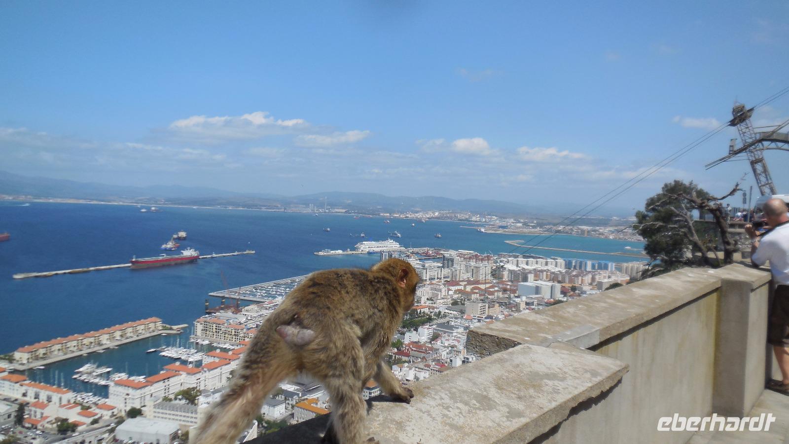 Gibraltar24 &ndash; &copy; Francisco Javier Burgos Gutierrez (Eberhardt TRAVEL)