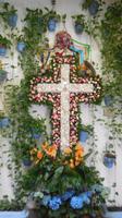 Malaga9 &ndash; &copy; Francisco Javier Burgos Gutierrez (Eberhardt TRAVEL)