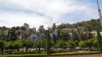 Malaga26 &ndash; &copy; Francisco Javier Burgos Gutierrez (Eberhardt TRAVEL)