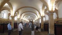 Cordoba2 &ndash; &copy; Francisco Javier Burgos Gutierrez (Eberhardt TRAVEL)