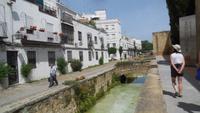 Cordoba5 &ndash; &copy; Francisco Javier Burgos Gutierrez (Eberhardt TRAVEL)