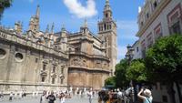 Sevilla13 &ndash; &copy; Francisco Javier Burgos Gutierrez (Eberhardt TRAVEL)