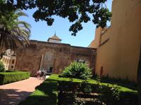 Sevilla45 &ndash; &copy; Francisco Javier Burgos Gutierrez (Eberhardt TRAVEL)