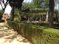 Sevilla72 &ndash; &copy; Francisco Javier Burgos Gutierrez (Eberhardt TRAVEL)