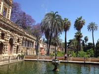 Sevilla75 &ndash; &copy; Francisco Javier Burgos Gutierrez (Eberhardt TRAVEL)