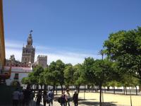 Sevilla78 &ndash; &copy; Francisco Javier Burgos Gutierrez (Eberhardt TRAVEL)