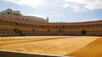 Ronda8 &ndash; &copy; Francisco Javier Burgos Gutierrez (Eberhardt TRAVEL)