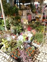 Cadiz &ndash; &copy; Ingrid Langer (Eberhardt TRAVEL)