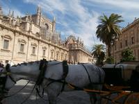 Sevilla &ndash; &copy; Ingrid Langer (Eberhardt TRAVEL)