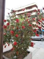Salou &ndash; &copy; Ingrid Langer (Eberhardt TRAVEL)