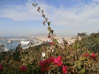 Malaga &ndash; &copy; Ingrid Langer (Eberhardt TRAVEL)