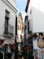 Cordoba Blumengasse &ndash; &copy; Ingrid Langer (Eberhardt TRAVEL)