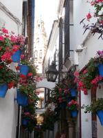 Cordoba Blumengasse