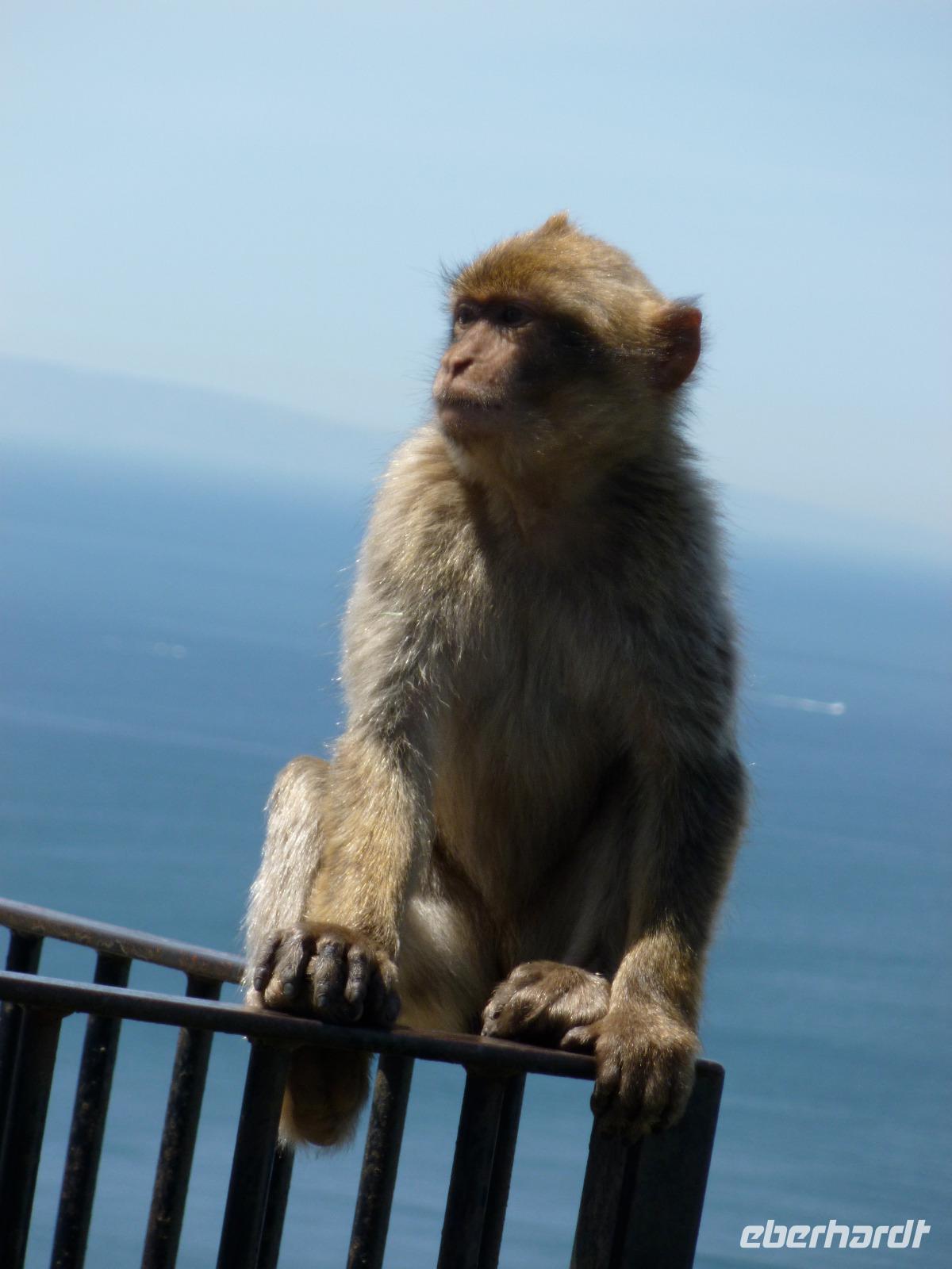 Gibraltar &ndash; &copy; Grit Wendelberger (Eberhardt TRAVEL)