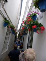 Cordoba Blumengasse &ndash; &copy; Grit Wendelberger (Eberhardt TRAVEL)