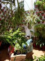 Cordoba Patio &ndash; &copy; Grit Wendelberger (Eberhardt TRAVEL)