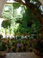 Sevilla Patio &ndash; &copy; Grit Wendelberger (Eberhardt TRAVEL)