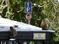 Gibraltar &ndash; &copy; Grit Wendelberger (Eberhardt TRAVEL)