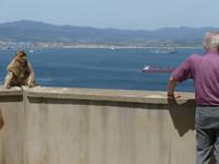 Gibraltar &ndash; &copy; Grit Wendelberger (Eberhardt TRAVEL)