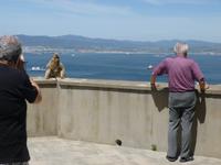Gibraltar