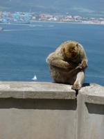 Gibraltar &ndash; &copy; Grit Wendelberger (Eberhardt TRAVEL)