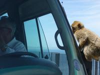 Gibraltar &ndash; &copy; Grit Wendelberger (Eberhardt TRAVEL)