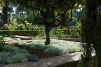 Generalife - L9982314 &ndash; &copy; Reinhard Weber (Eberhardt TRAVEL)