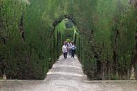 Generalife - L9982322 &ndash; &copy; Reinhard Weber (Eberhardt TRAVEL)