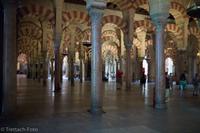 Cordoba - Mezquita - L9983218