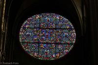 Dijon Kathedrale Glasfenster - L9983508 &ndash; &copy; Reinhard Weber (Eberhardt TRAVEL)