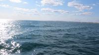 Segelboot-Tour (36) &ndash; &copy; Francisco Javier Burgos Gutierrez (Eberhardt TRAVEL)