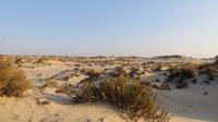Doñana (12) &ndash; &copy; Francisco Javier Burgos Gutierrez (Eberhardt TRAVEL)