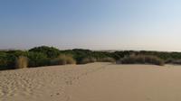 Doñana (19) &ndash; &copy; Francisco Javier Burgos Gutierrez (Eberhardt TRAVEL)