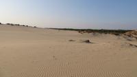 Doñana (20) &ndash; &copy; Francisco Javier Burgos Gutierrez (Eberhardt TRAVEL)