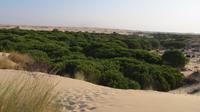 Doñana (26) &ndash; &copy; Francisco Javier Burgos Gutierrez (Eberhardt TRAVEL)