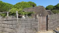 Doñana (56) &ndash; &copy; Francisco Javier Burgos Gutierrez (Eberhardt TRAVEL)