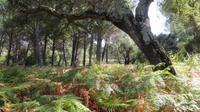 Doñana (76) &ndash; &copy; Francisco Javier Burgos Gutierrez (Eberhardt TRAVEL)