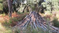 Doñana (80) &ndash; &copy; Francisco Javier Burgos Gutierrez (Eberhardt TRAVEL)