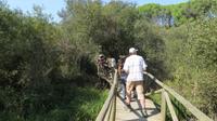 Doñana (83) &ndash; &copy; Francisco Javier Burgos Gutierrez (Eberhardt TRAVEL)