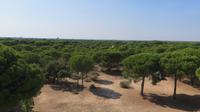 Doñana (96) &ndash; &copy; Francisco Javier Burgos Gutierrez (Eberhardt TRAVEL)