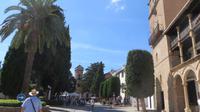 Ronda (20) &ndash; &copy; Francisco Javier Burgos Gutierrez (Eberhardt TRAVEL)