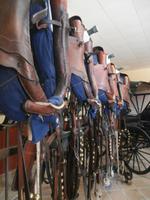 Jerez de la Fronterra Bodega Real Tesoro &ndash; &copy; Ingrid Langer (Eberhardt TRAVEL)